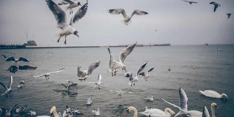 Wi-Fi 7技术前瞻：超高吞吐与确定性延迟如何重塑电子商务与网站开发新体验