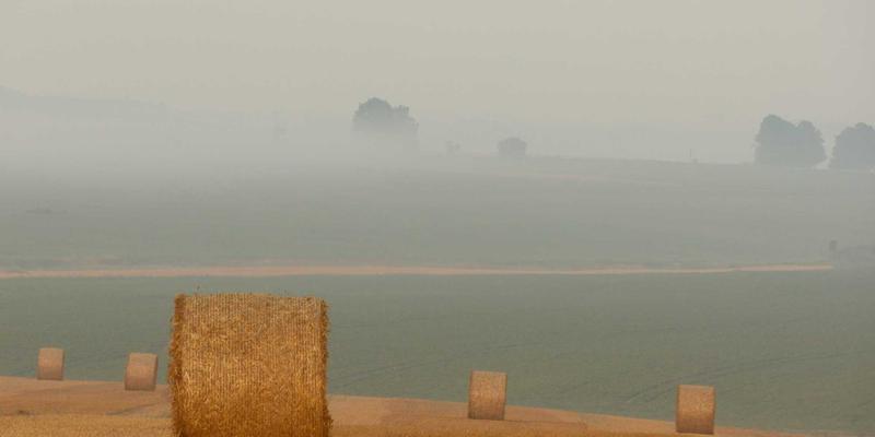 从数据驱动到流量增长：一个网站开发项目的SEO与数据分析实战解析