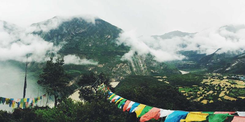 意图驱动网络：重塑网站开发与数字营销的智能网络新范式