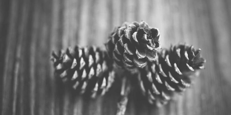 物联网设备管理平台的安全挑战与最佳实践：为电子商务与数字营销筑牢数字防线