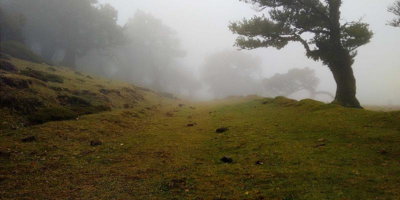 网站开发与数据分析：驱动现代网络技术发展的双引擎