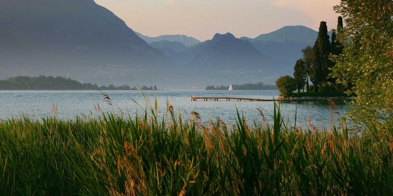 网络功能虚拟化与云原生网络：电信运营商转型中的技术挑战与机遇