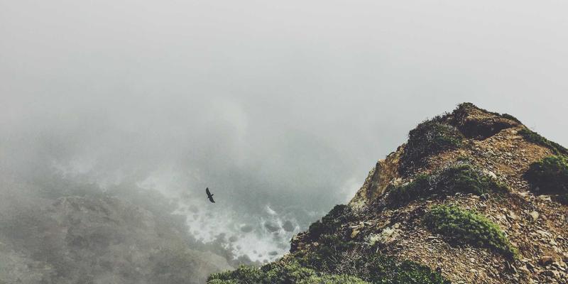 网络即服务（NaaS）如何重塑企业网络：为SEO、网站开发与电子商务提供敏捷扩展新范式