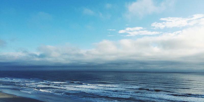 网络技术35：网站开发、数据分析与未来网络生态的深度融合