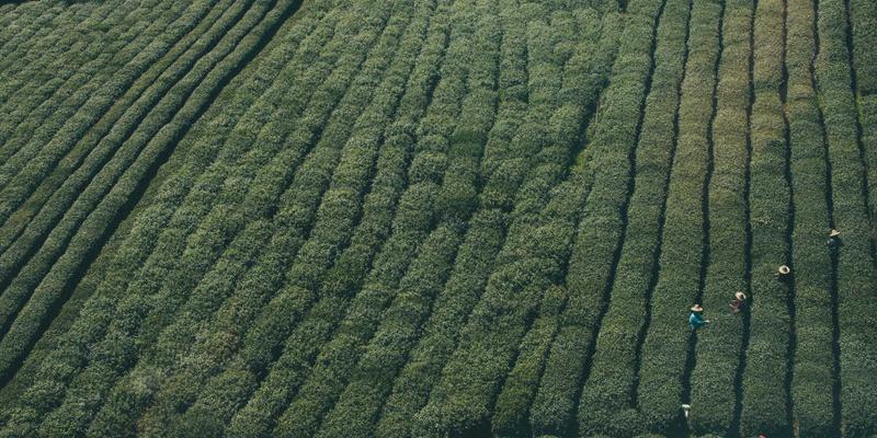 网络技术38时代：数字营销、SEO与电子商务的融合变革