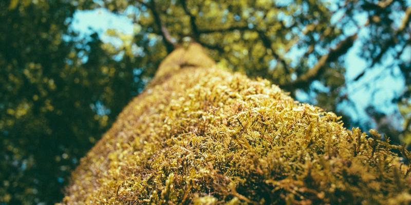 网络技术53：数据分析如何重塑数字营销的决策维度