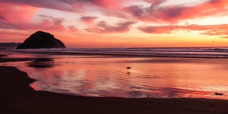 网络技术55时代：融合SEO、数字营销与数据分析的智能增长新范式