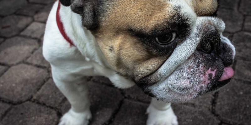 网络技术与数据分析融合：5G网络切片如何重塑企业专网的数字营销格局