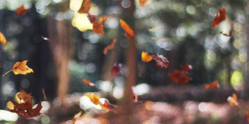 网络技术如何重塑数字营销与网站开发的核心竞争力