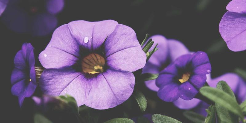 量子密钥分发(QKD)：重塑网络通信安全的未来，对网站开发与SEO的深远影响